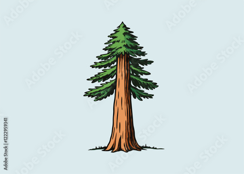 Sequoia is the tallest tree on earth Isolated vector illustration