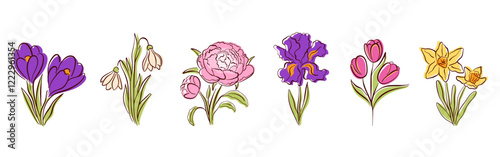 Spring flower set with crocus, snowdrop, peony, iris, tulip and daffodil in line art, flat style. Perfect for seasonal design, greeting card, poster and nature theme. Isolated on a white background.