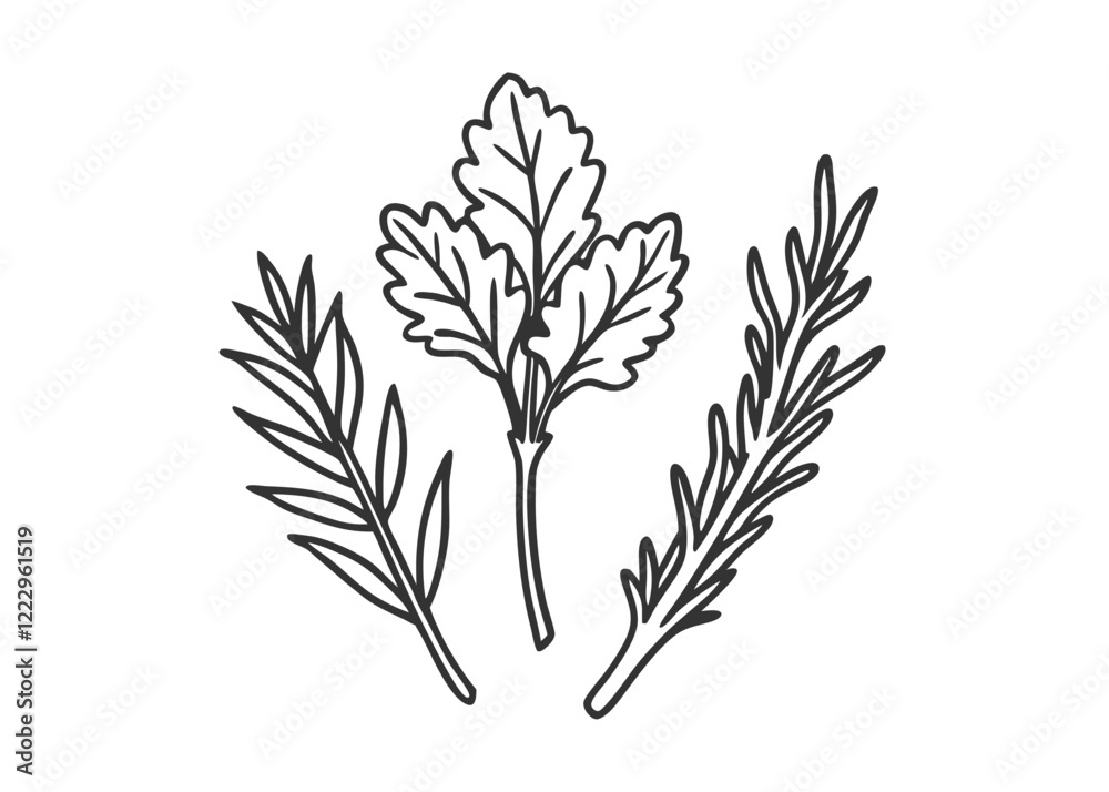 Fototapeta premium Realistic hand drawn herbs & wild flowers