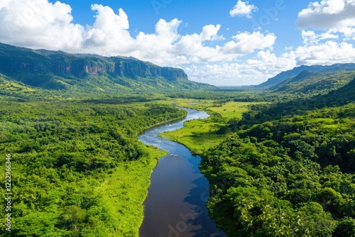 aerial view of a winding river through a lush wetland, showcasing the interplay of water and vegetation in a balanced ecosystem
