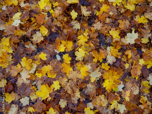 Herbstimpression aus dem Hönnetal im Sauerland
