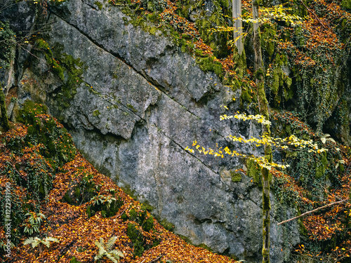 Herbstimpression aus dem Hönnetal im Sauerland