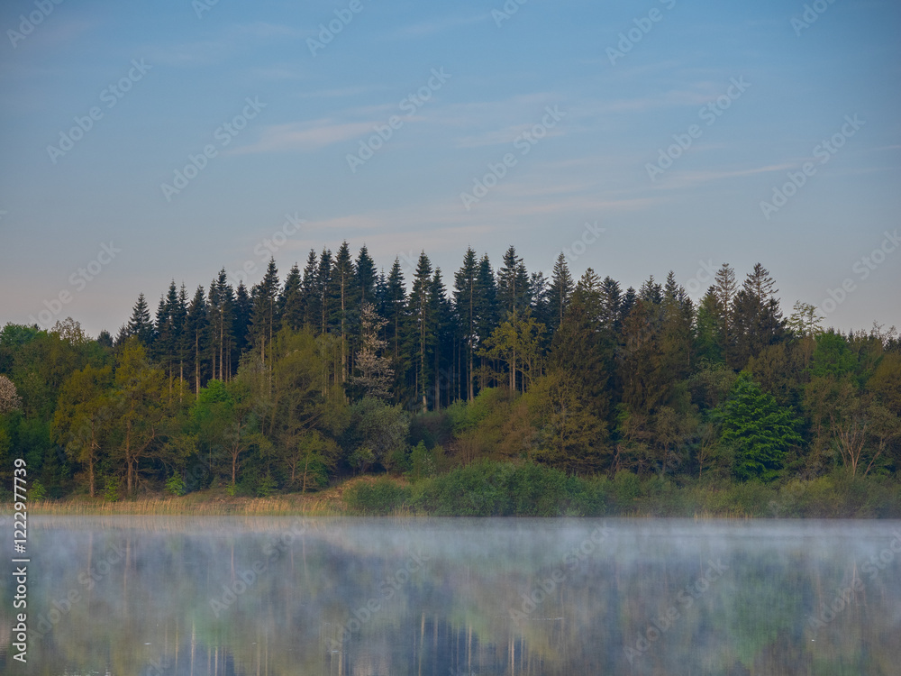 Frühnebel an einem See in Dänemark
