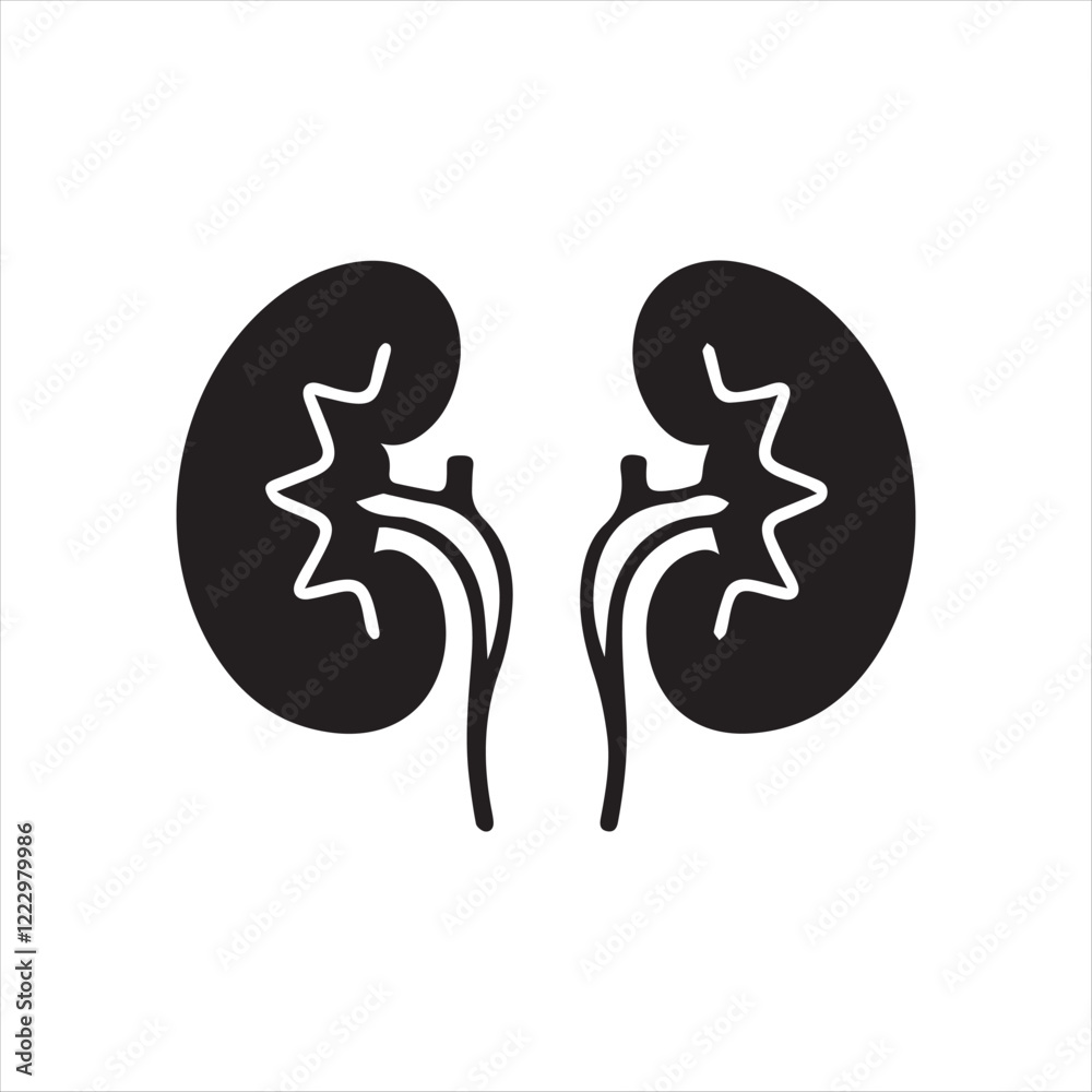 Kidney icon Silhoutee isolated on white background Kidney icon Silhoutee isolated on white background
