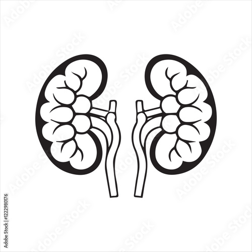 Kidney icon Silhoutee  isolated on white background 