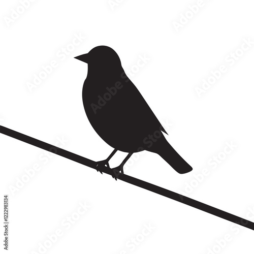 Silhouette of the Standing Bird on the Electrical Wire