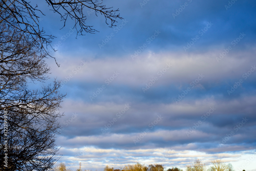 Fototapeta premium Cielo nublado en invierno y ramas de árbol