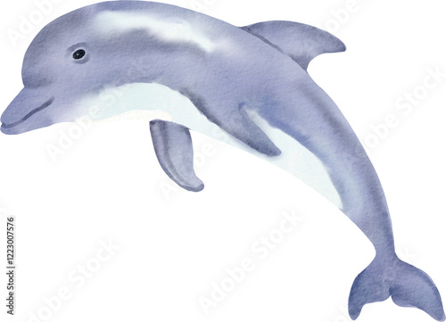 watercolor dolphin photo