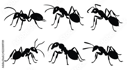 Set of various ant silhouettes. isolated vector on white background.