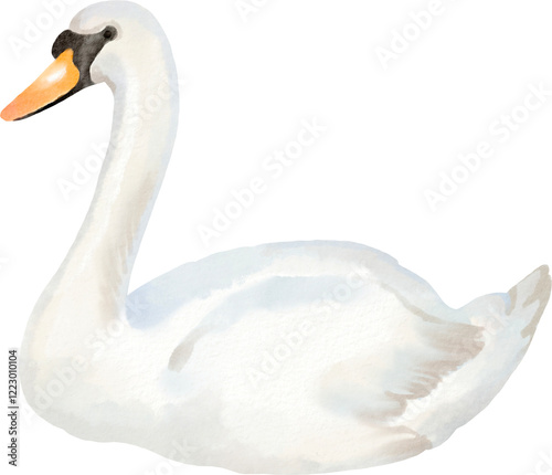 Fototapeta Naklejka Na Ścianę i Meble -  watercolor swan