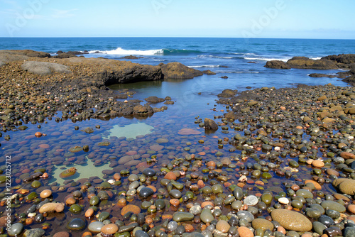 Rocky shoreline with tide pools and colorful sea life under clear sky