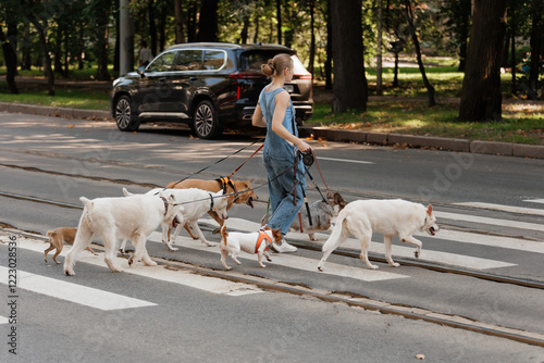Canvas Print dog walker, dog handler on a walk with their pets