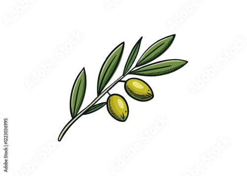 Olive Branch with Olives Set. Hand Drawn Olive Tree Branch with Outline vector icon isolated on white background