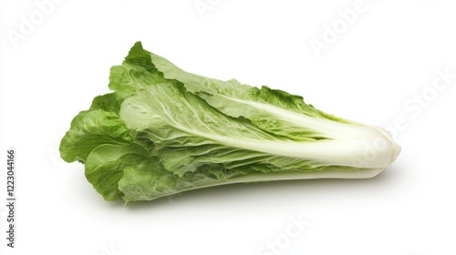 Fresh green Chinese cabbage isolated on white background. (2)