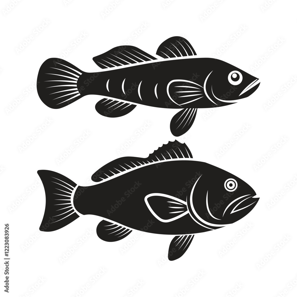 Fototapeta premium striped snakehead fish