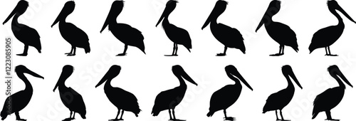 Pelican silhouettes set, bird pack of vector silhouette design, isolated background