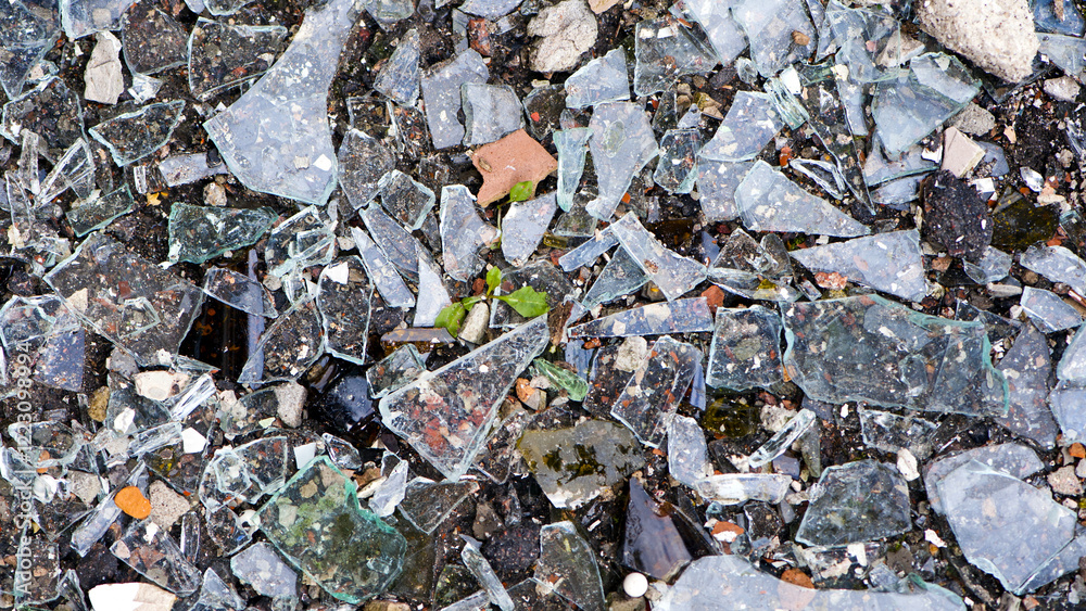 custom made wallpaper toronto digitalbackground texture pieces of broken glass. Broken glass. Broken bottles on the ground. Shards of glass from the bottle on the ground. Colorful broken bottles.