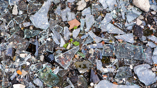 Wallpaper Mural background texture pieces of broken glass. Broken glass. Broken bottles on the ground. Shards of glass from the bottle on the ground. Colorful broken bottles. Torontodigital.ca