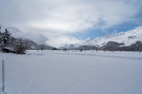 Panorama of Lake Sils, in Engadine, Switzerland, frozen and snowy, and the mountains above. photo