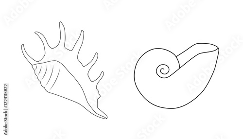 Set of black and white silhouette of seashell. Monochrome outline drawing. Vector illustration. Design element for coloring, cards, printing, packaging, invitations, advertising.