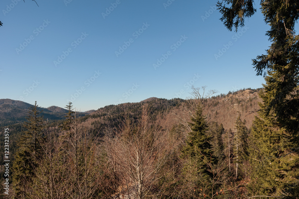 vista panoramica su un ambiente collinare nella Slovenia occidentale, di giorno, con cielo sereno, in autunno vista panoramica su un ambiente collinare nella Slovenia occidentale, di giorno, con cielo sereno, in autunno