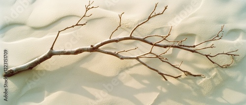 A weathered branch lies atop windswept sand, casting elongated shadows, evoking sentiments of simplicity and transience in a desert landscape. photo