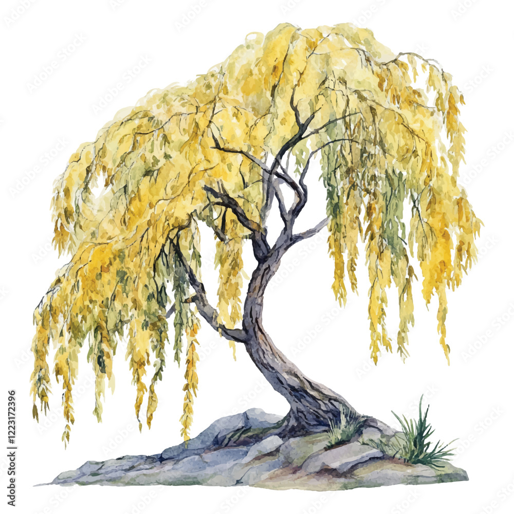 illustration of a tree