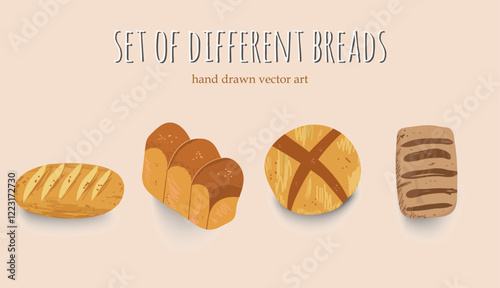A Set of Delicious Baking bread hand drawn style, Loaf of wheat,  rye toast bread, circle, round Grain bread roll bun. Baked food. ciabatta, Vector illustration in hand drawn style.