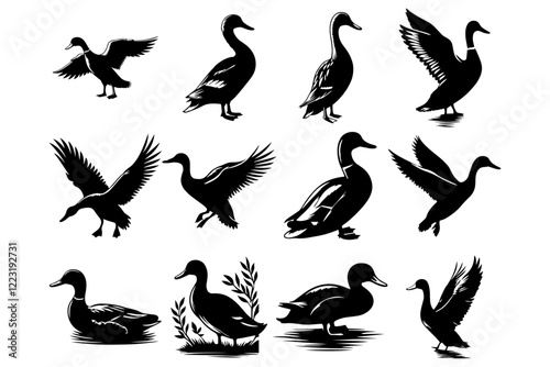 A single duck silhouette swimming in calm water, creating ripples, Duck silhouette - cut out vector icon,  Duck icon vector illustration design, black swan on white, swan, bird, animal, vector,