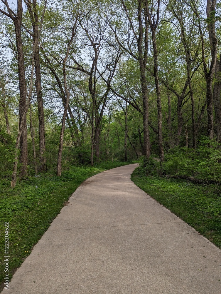 A paved trail into the woods in Iowa in the spring. A paved trail into the woods in Iowa in the spring.