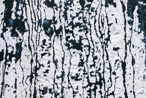 The image is of a wall with black and white splatters of paint