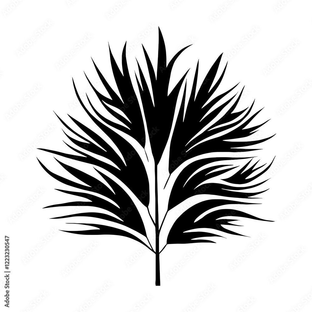 Pampas grass SVG on a transparent background Pampas grass SVG on a transparent background