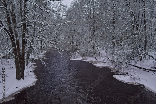Winter river landscape, snow covered branches and ground, Nukarinkoski, Nurmijärvi, Finland.