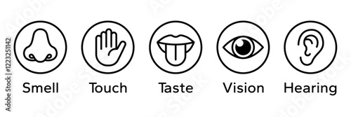 Human senses icon set. Vision eye, smell nose, hearing ear, touch hand, taste mouth with tongue. Simple line icons and black circle. Five senses of human nervous system. Vector illustration.