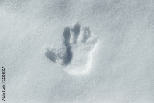 photograph showing a snowy background with a palm print