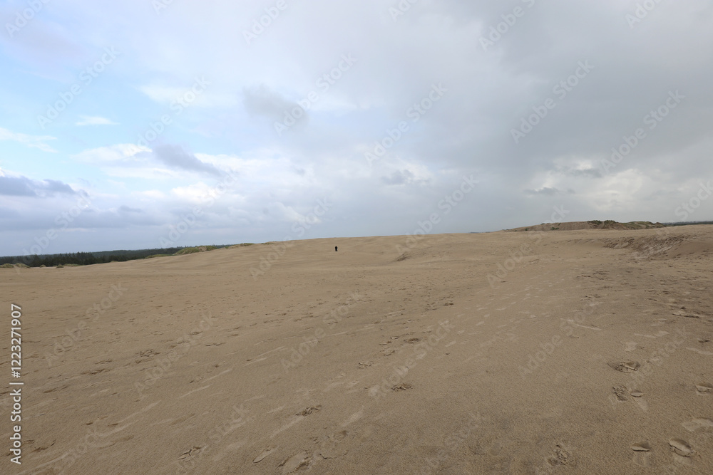 sand dune in a pristine environment with cloudy sky sand dune in a pristine environment with cloudy sky