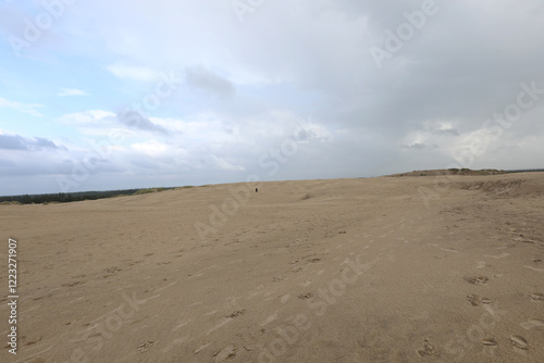 sand dune in a pristine environment with cloudy sky