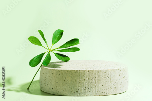 Concrete empty podium with green leaves on light green background photo