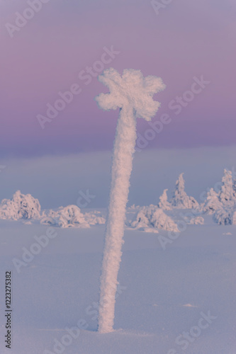 Snow covered trail sign at dawn in Sweden with pastel sky and serene winter landscape photo