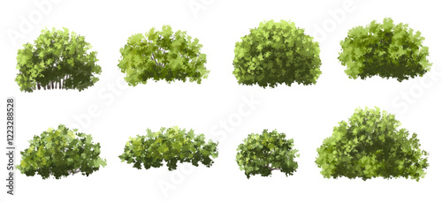 Vector of green tree side view isolated on white background ,watercolor tree elevation for landscape concept,environment scene,eco design, garden for spring