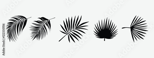 Palm Frond Tropical Abstract Background, Leaf Silhouettes Set