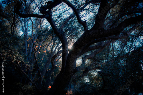 Naturaleza....