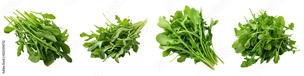 Arugula isolated on transparent background, PNG, Set of Arugula isolated on transparent background, PNG, Set of