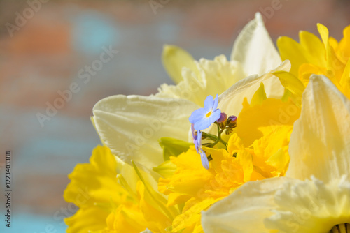 Spring flowers in a vase - ...