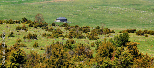 Foto paysage auvergnat