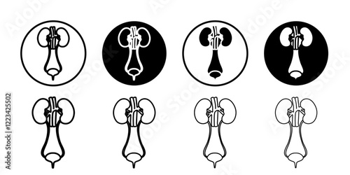 Urinary system icon Vector logo set flat