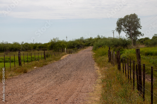 Camino campestre photo