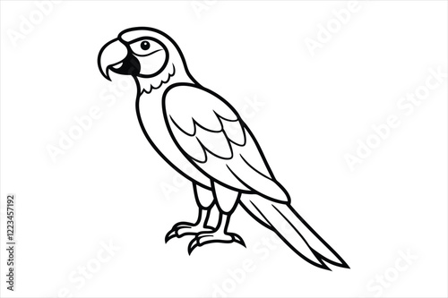 parrot on a white background