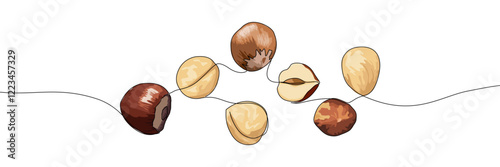 Brown and beige nuts continuous line drawing  vector illustration. Graphic design element for food-related decoration and packaging. Editable stroke