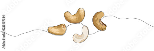 Hand-drawn cashew nuts with curved shapes on a white background. Minimalistic vector illustration. Design for packaging, posters, banners, or food-related projects